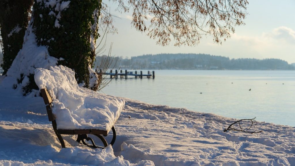 winter, bank, snow-8433267.jpg